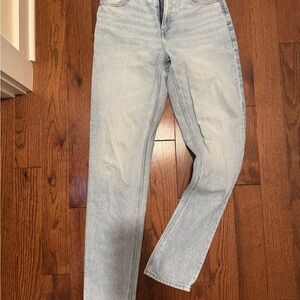 AE Strigid Mom Jeans